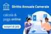 diritto annuale