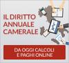 Diritto Annuale 2023