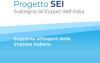 Progetto Sostegno Export dell'Italia
